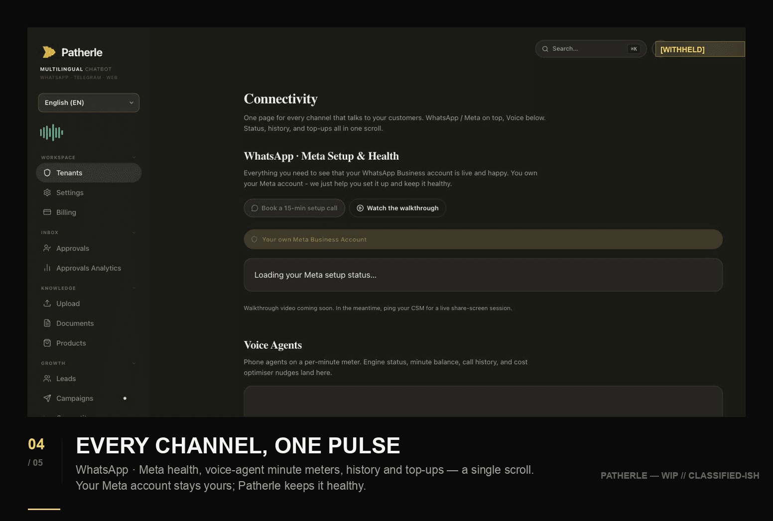 Patherle connectivity view with sensitive details withheld
